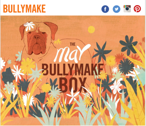 Bullymake Newsletter header