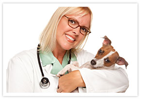 Pet and Veterinary
