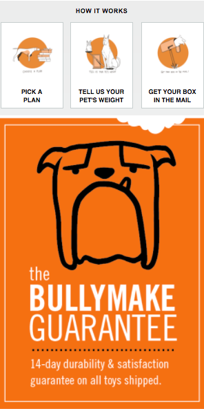 Bullymake newsletter subscription sale