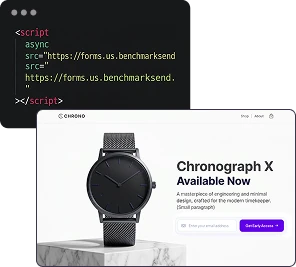 An embedded signup form added to a website using a code snippet