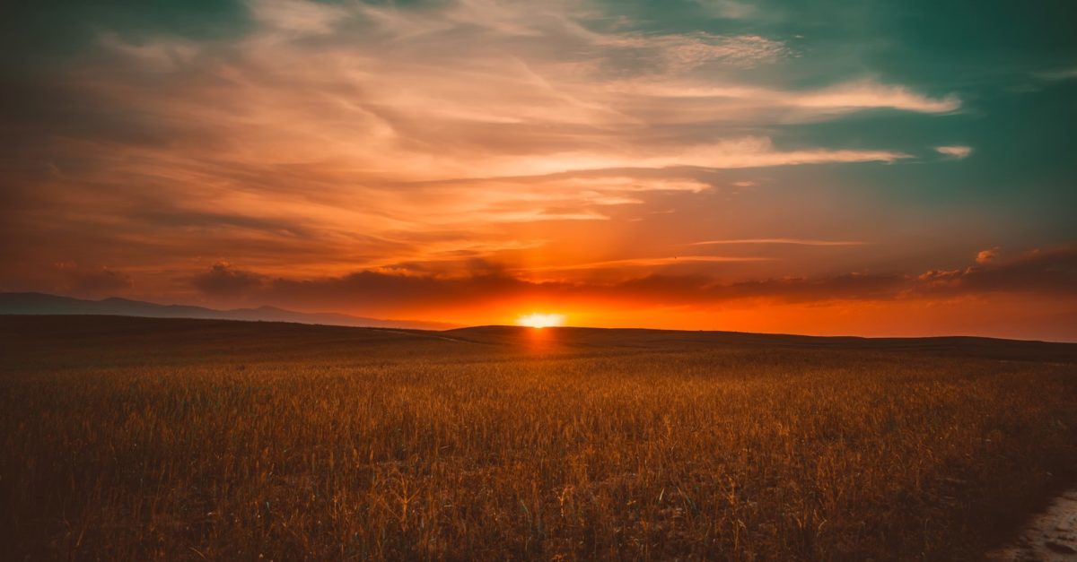 Don’t Let the Sun Set On Your Emails: Create A Sunset Policy.